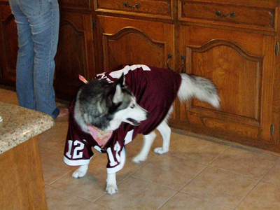 Kema is an Aggie 06.JPG